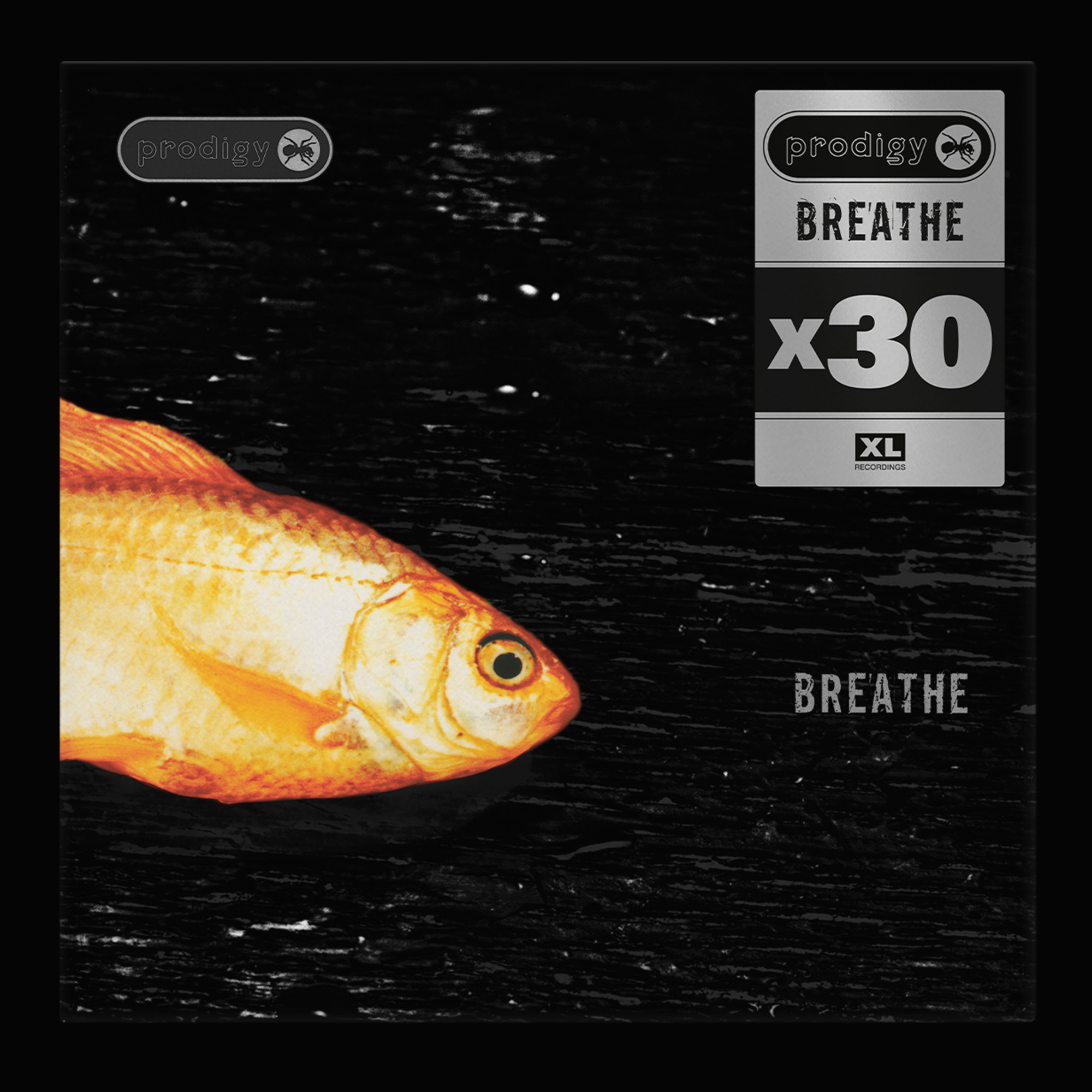 The Prodigy Breathe x30_Front flat